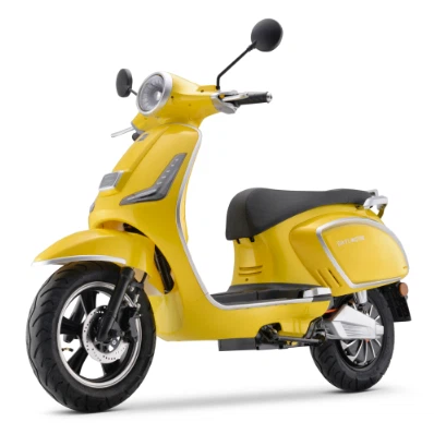 Ciclomotor elétrico de uso diário 1000W 55km/h